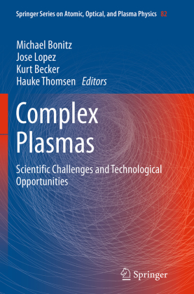 Complex Plasmas 