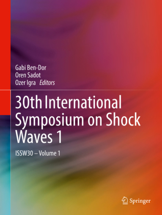 30th International Symposium on Shock Waves 1 