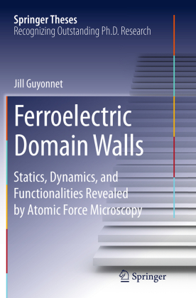 Ferroelectric Domain Walls 