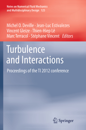 Turbulence and Interactions 