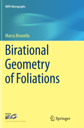 Birational Geometry of Foliations 