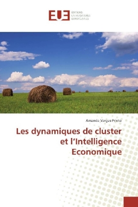 Les dynamiques de cluster et l'Intelligence Economique 
