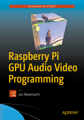 Raspberry Pi GPU Audio Video Programming 