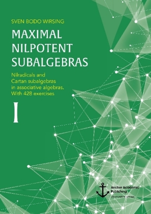 Maximal nilpotent subalgebras I: Nilradicals and Cartan subalgebras in associative algebras. With 428 exercises 