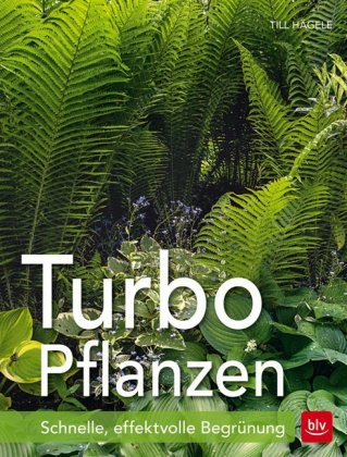 Turbo-Pflanzen 