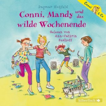 Conni & Co 13: Conni, Mandy und das wilde Wochenende, 2 Audio-CD