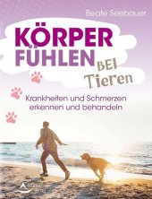 kein Cover