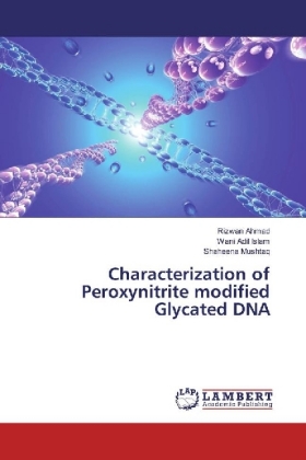 Characterization of Peroxynitrite modified Glycated DNA 
