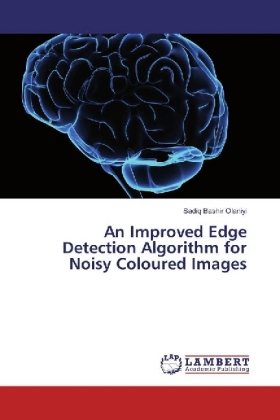 An Improved Edge Detection Algorithm for Noisy Coloured Images 
