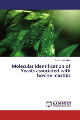 Molecular identification of Yeasts associated with bovine mastitis 