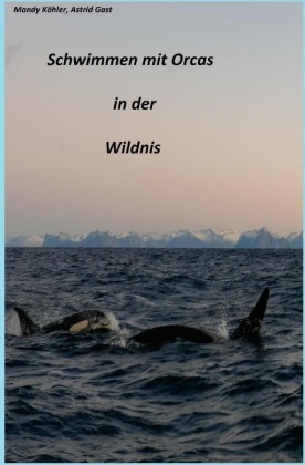 Schwimmen mit Orcas in der Wildnis 