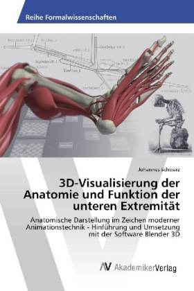 3D-Visualisierung der Anatomie und Funktion der unteren Extremität 