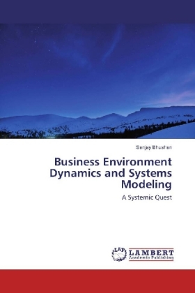 Business Environment Dynamics and Systems Modeling 