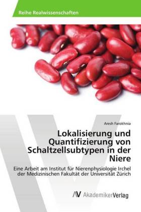 Lokalisierung und Quantifizierung von Schaltzellsubtypen in de...