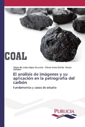 El análisis de imágenes y su aplicación en la petrografía del carbón 
