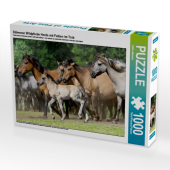 Dülmener Wildpferde Herde mit Fohlen im Trab (Puzzle) 