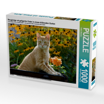 Neugierige rot getigerter Katze in einem blühenden Garten (Puzzle) 