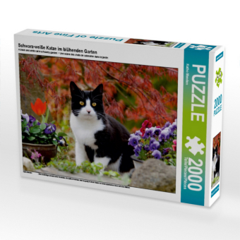 Schwarz-weiße Katze im blühenden Garten (Puzzle) 