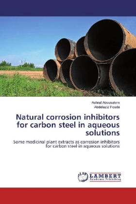 Natural corrosion inhibitors for carbon steel in aqueous solutions 