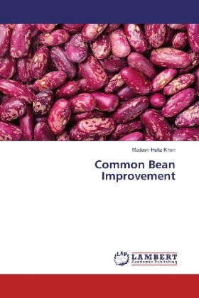 Common Bean Improvement 