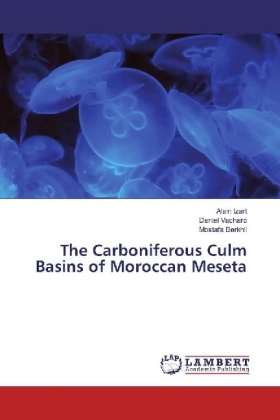 The Carboniferous Culm Basins of Moroccan Meseta 