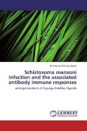 Schistosoma mansoni infection and the associated antibody immune responses 