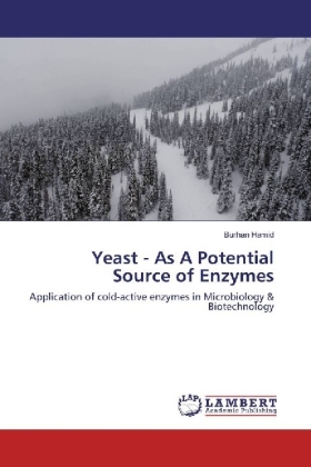 Yeast - As A Potential Source of Enzymes 