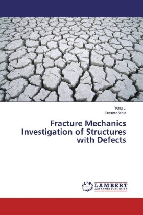 Fracture Mechanics Investigation of Structures with Defects 