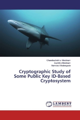 Cryptographic Study of Some Public Key ID-Based Cryptosystem 