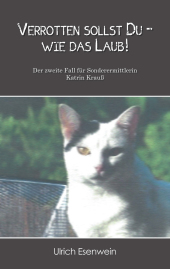 kein Cover