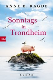 Sonntags in Trondheim Cover