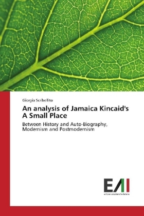 An analysis of Jamaica Kincaid's A Small Place 