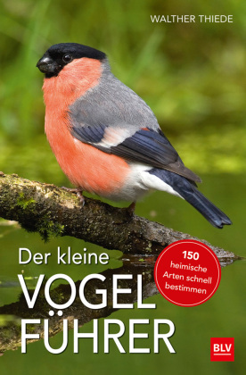 Der kleine Vogelführer 