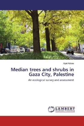 Median trees and shrubs in Gaza City, Palestine 
