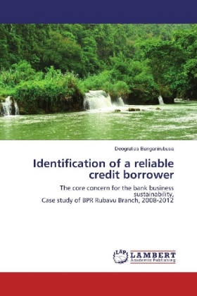 Identification of a reliable credit borrower 