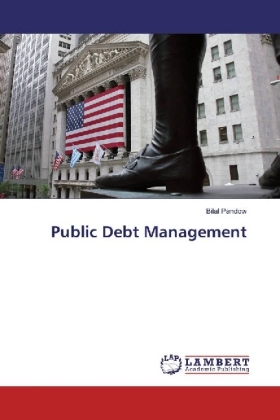 Public Debt Management 