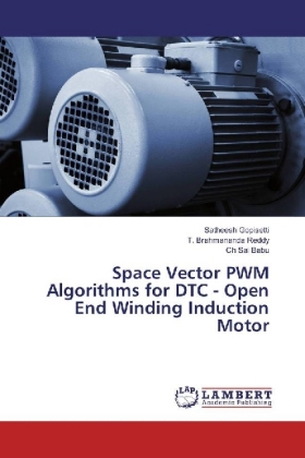 Space Vector PWM Algorithms for DTC - Open End Winding Induction Motor 