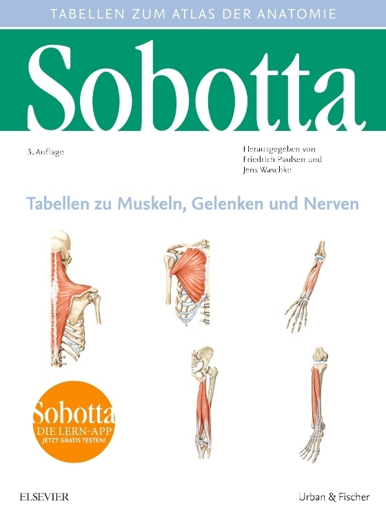 Atlas Der Anatomie Des Menschen Tabellen Zu Muskeln Gelenken Und Nerven Produkt