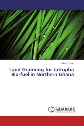 Land Grabbing for Jatropha Bio-fuel in Northern Ghana 