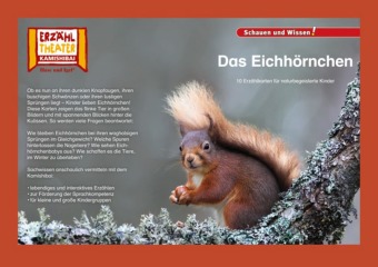 Das Eichhörnchen / Kamishibai Bildkarten