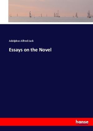 Essays on the Novel 