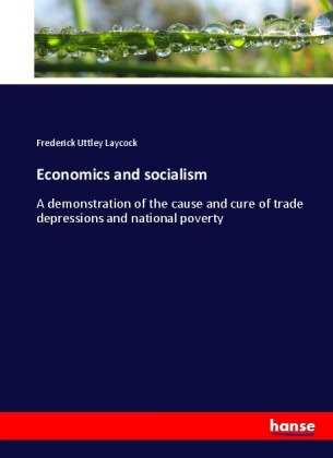 Economics and socialism 