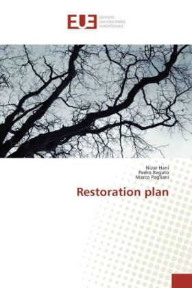Restoration plan 
