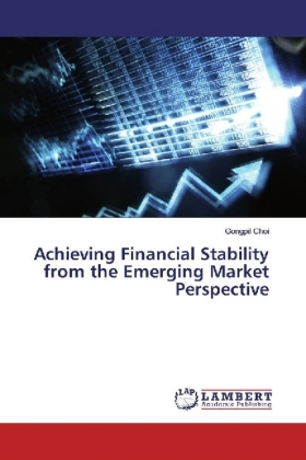Achieving Financial Stability from the Emerging Market Perspective 