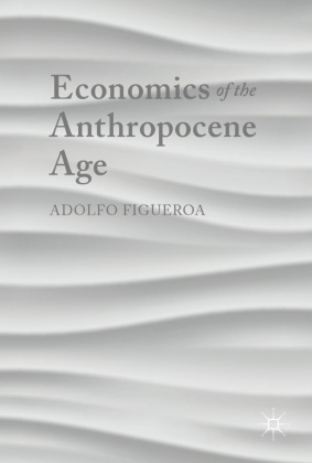 Economics of the Anthropocene Age 
