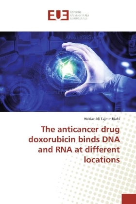 The anticancer drug doxorubicin binds DNA and RNA at different locations 