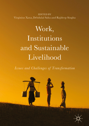 Work, Institutions and Sustainable Livelihood 