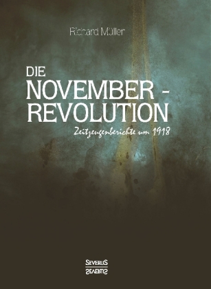 Die Novemberrevolution 