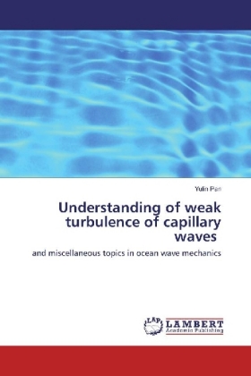 Understanding of weak turbulence of capillary waves 