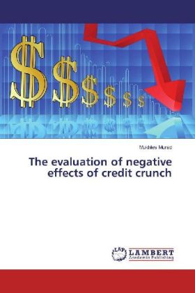 The evaluation of negative effects of credit crunch 
